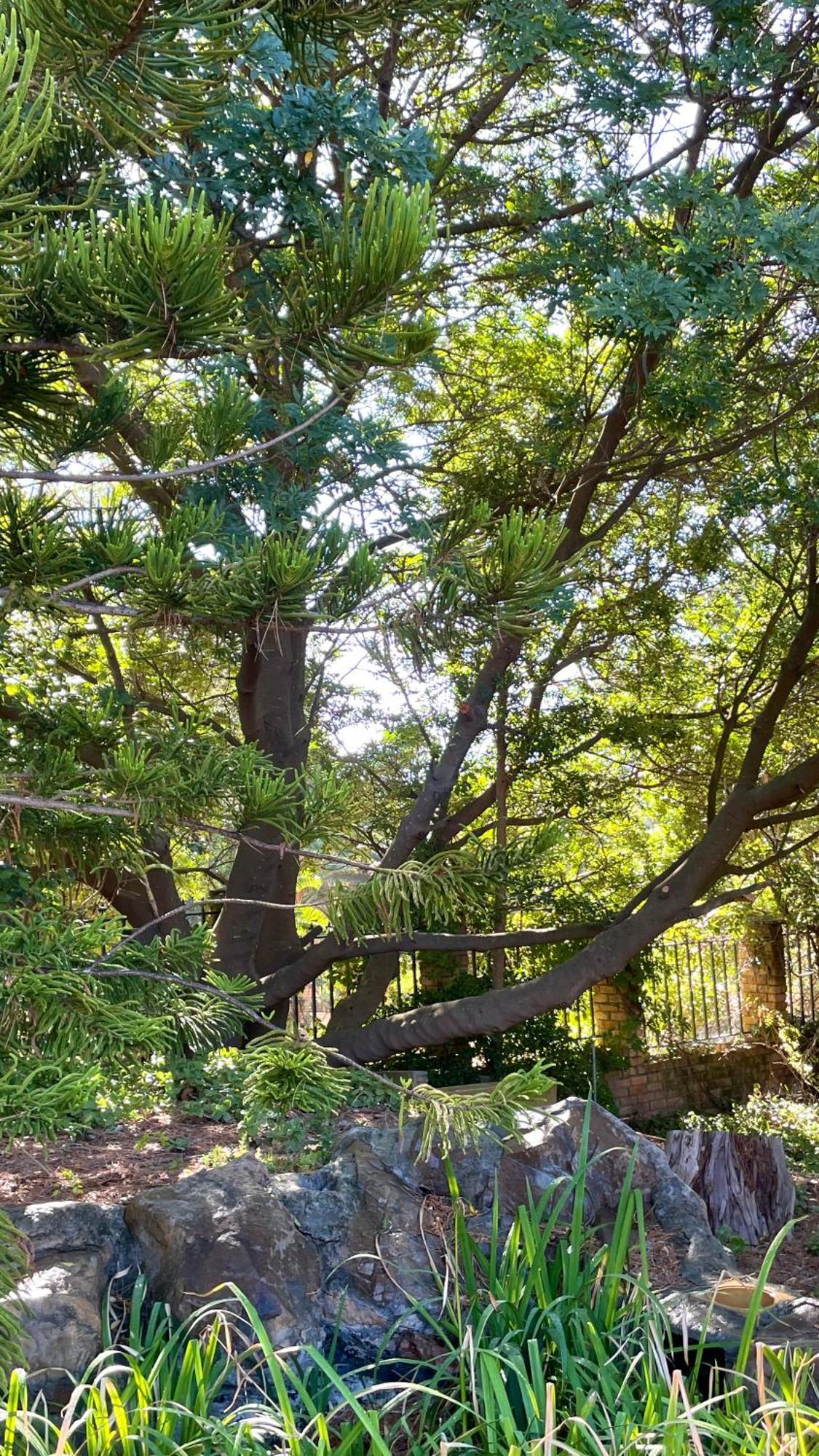 Unique Hout Bay House Villa Dış mekan fotoğraf